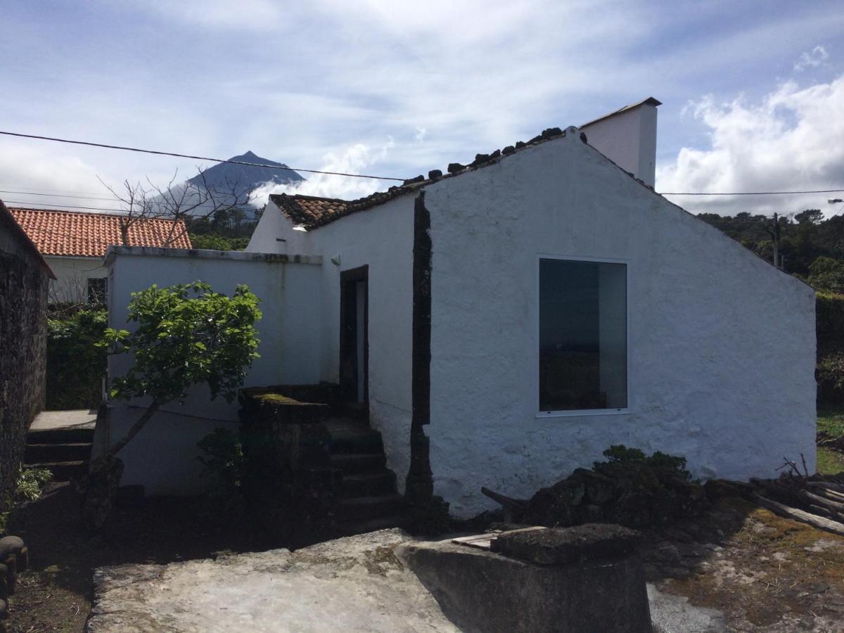 Casa Do Castanheiro Villa Santo Antonio  Luaran gambar
