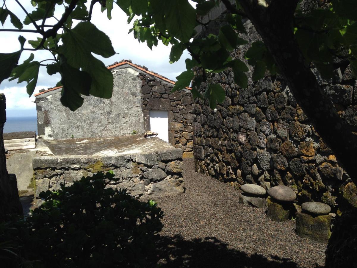 Casa Do Castanheiro Villa Santo Antonio  Luaran gambar