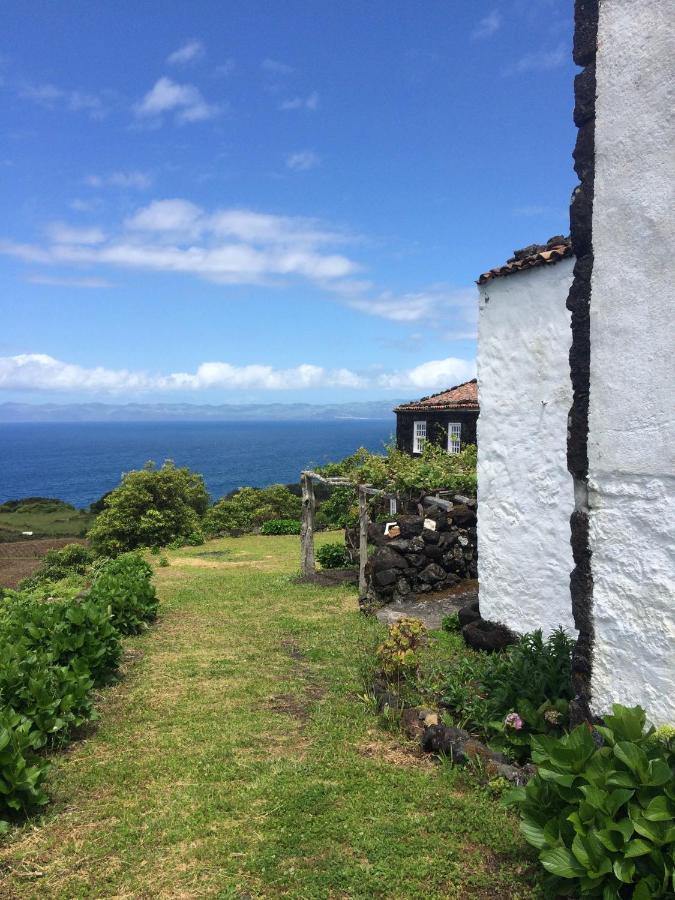 Casa Do Castanheiro Villa Santo Antonio  Luaran gambar